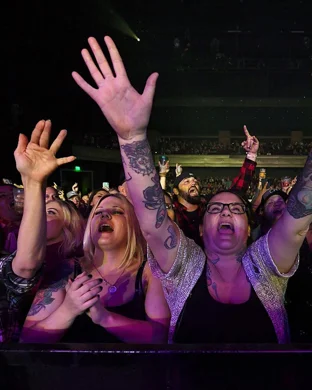 Strokes Tribute Dallas