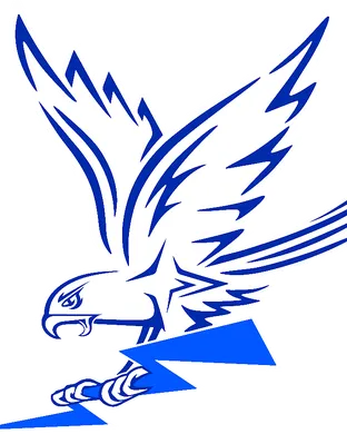 Air Force Falcons Arlington