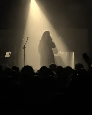 Allie X Dallas
