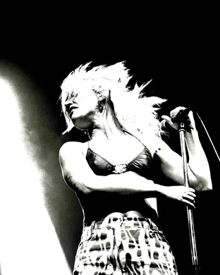 Amyl And The Sniffers Dallas