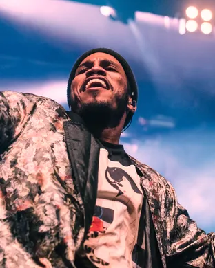 Anderson Paak Arlington