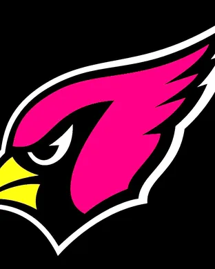 Arizona Cardinals Arlington