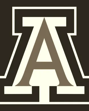 Arizona Wildcats Fort Worth