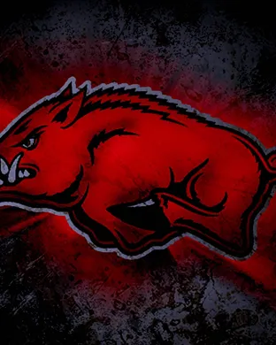 Arkansas Razorbacks Dallas