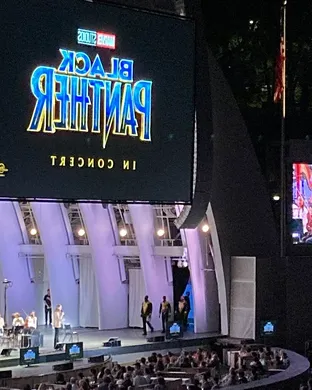 Black Panther in Concert