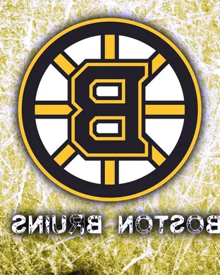 Boston Bruins Arlington