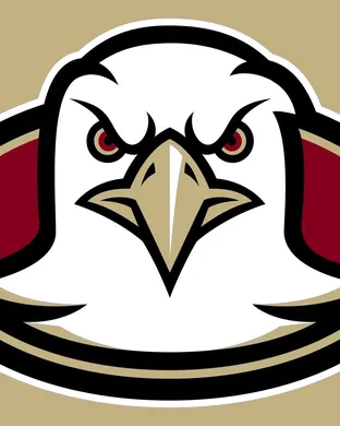 Boston College Eagles Dallas