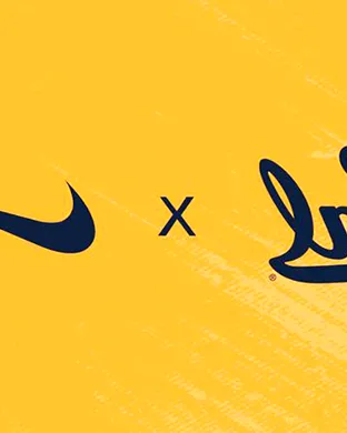 California Golden Bears Dallas