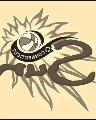 Connecticut Sun Arlington