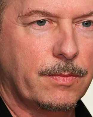 David Spade Arlington