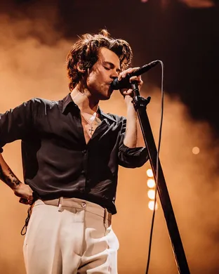 Harry Styles Arlington