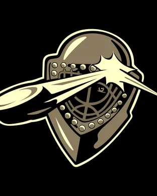 Idaho Steelheads Arlington
