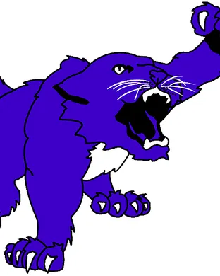 Kansas State Wildcats Fort Worth