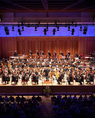 Mahler Dallas