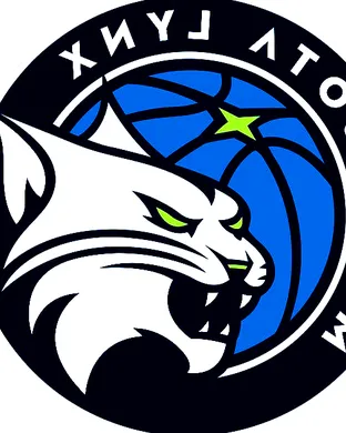 Minnesota Lynx Arlington