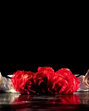 Momix Dallas