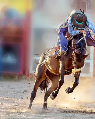 PBR Stockyards Showcase Fort Worth