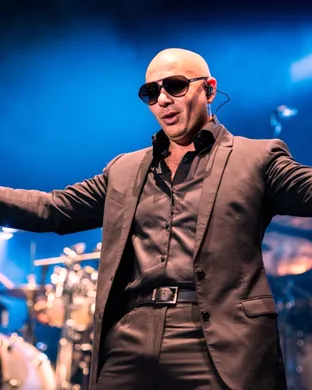 Pitbull Dallas