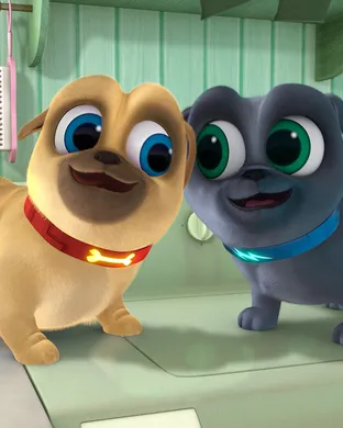 Puppy Pals Arlington