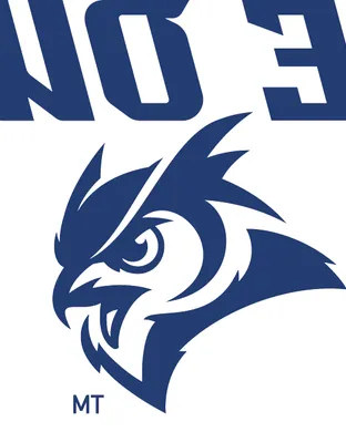 Rice Owls Football Denton