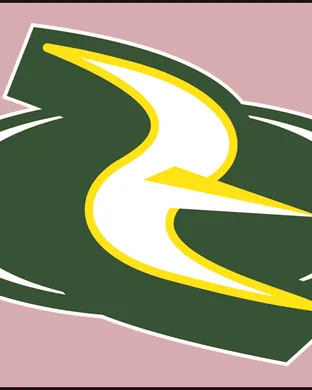 Seattle Storm Arlington
