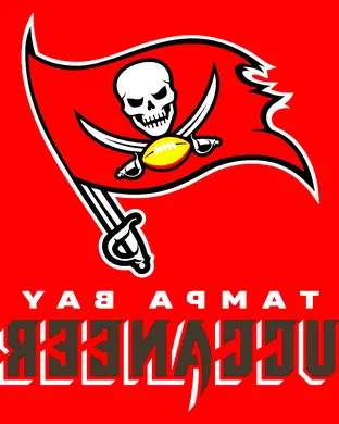 Tampa Bay Buccaneers Arlington