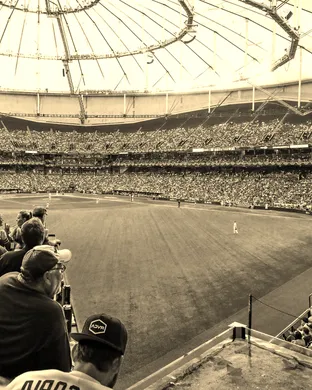 Tampa Bay Rays Arlington
