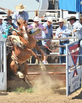The American Rodeo Arlington