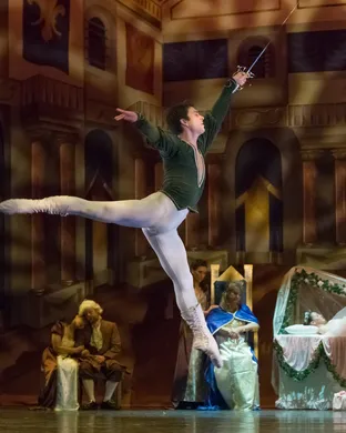 The Sleeping Beauty - Ballet Dallas