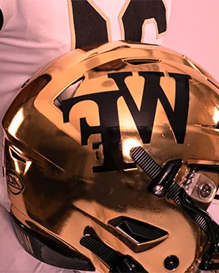 Wake Forest Demon Deacons Football Dallas