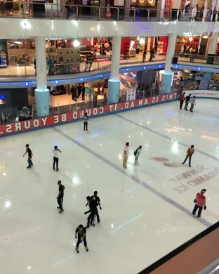 Stars On Ice Allen